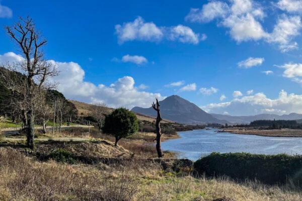 Apartament Donegal Luxury Pods Gweedore Zewnętrze zdjęcie
